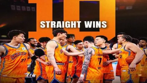 阿瑙托維奇傷勢康復，將參戰歐洲盃