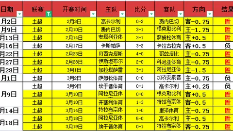 《卫报》：切尔西渴望帕尔默迅速复出，马雷斯卡称伤病影响球队进攻火力